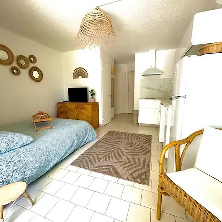 The Palm 100m De La Parking Clim Wifi Apartment